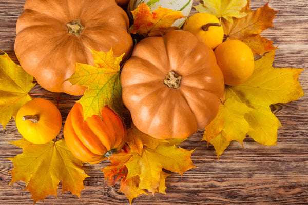 Pumpkin Health Benefits: Reasons to Enjoy More of This Seasonal Delight