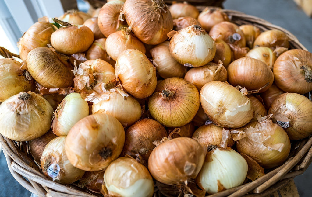 Vidalia Onion Recipes | A True Georgia Treasure | Farmview Market Vidalia Onion Recipes | A True Georgia Treasure | Farmview Market